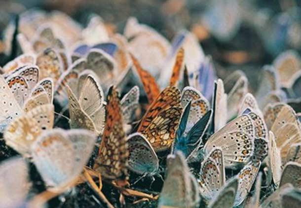 Fotoğraflarla Türkiye Turu  - Resim 43