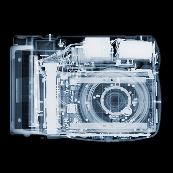 Sıradışı fotoğraflar - Resim 6