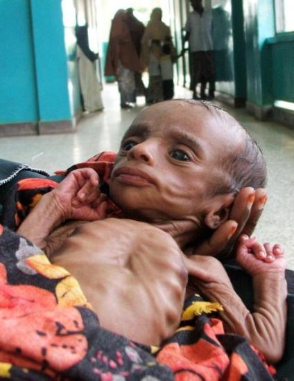 Somali'nin yeni semboli