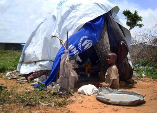 Somali'nin yeni semboli