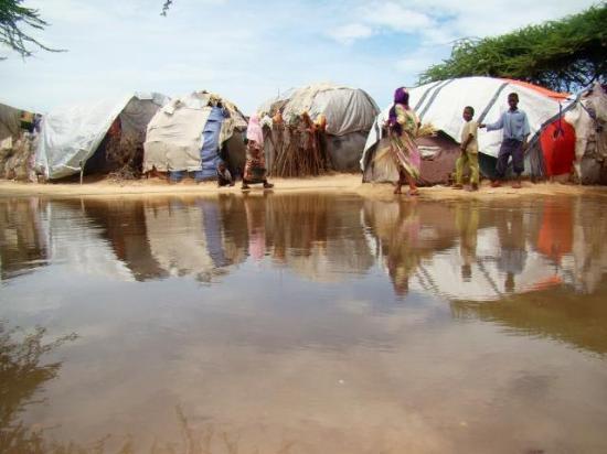 Somali'nin yeni semboli