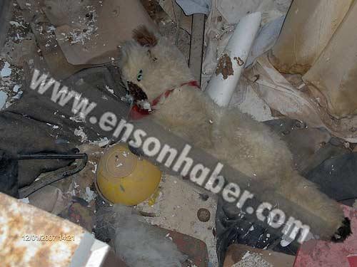 Kıbrıs-Maraş yıllar sonra İLK KEZ görüntülendi