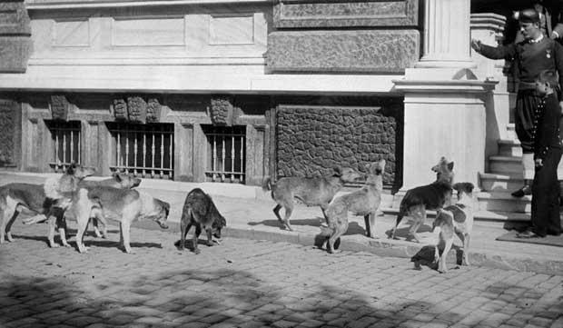 Eski İstanbul fotoğrafları 2