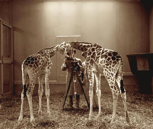 Bu foto'lar kolay çekilmedi‏