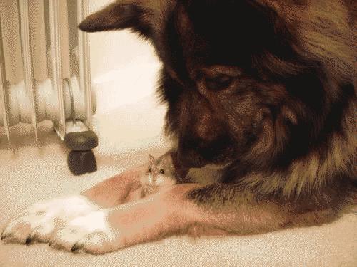 Bu foto'lar kolay çekilmedi‏