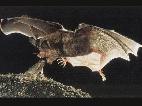 Bu foto'lar kolay çekilmedi‏