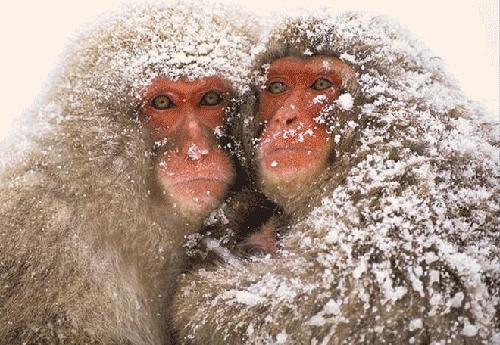 Bu foto'lar kolay çekilmedi‏