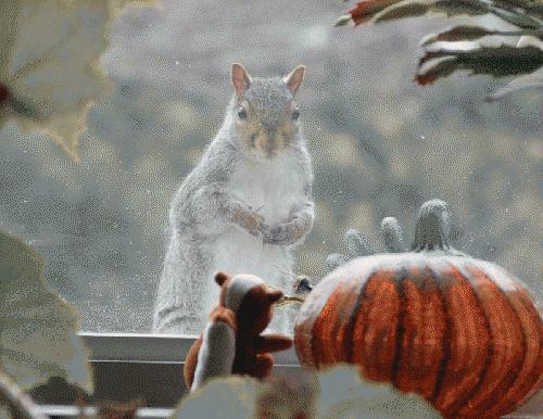 Bu foto'lar kolay çekilmedi‏