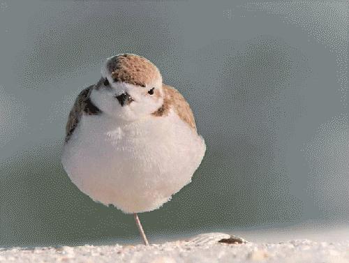 Bu foto'lar kolay çekilmedi‏