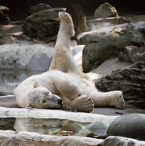 Bu foto'lar kolay çekilmedi‏