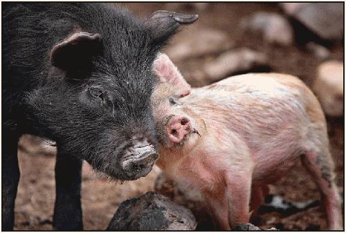 Bu foto'lar kolay çekilmedi‏