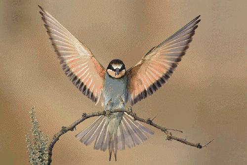 Bu foto'lar kolay çekilmedi‏