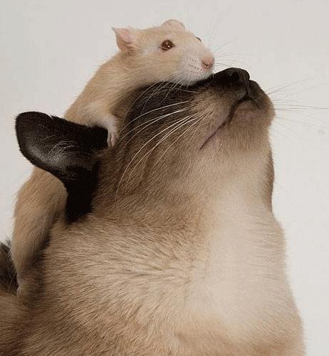 Bu foto'lar kolay çekilmedi‏