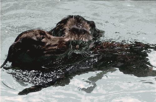 Bu foto'lar kolay çekilmedi‏