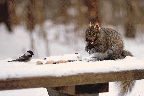 Bu foto'lar kolay çekilmedi‏