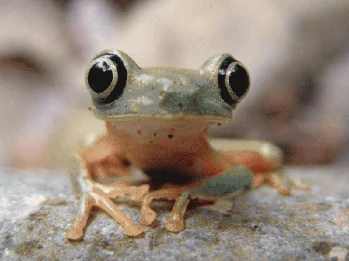 Bu foto'lar kolay çekilmedi‏