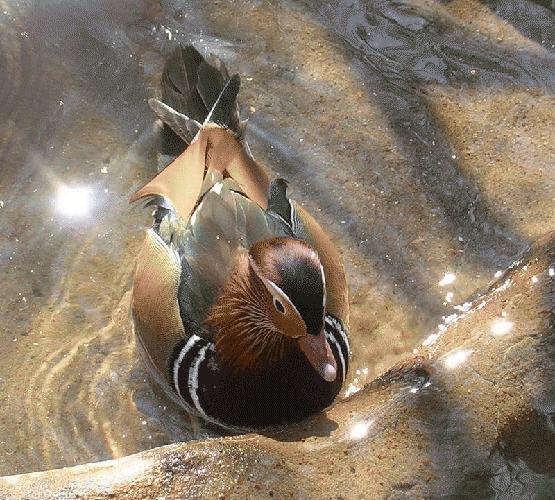 Bu foto'lar kolay çekilmedi‏