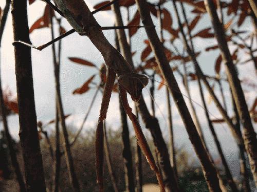 Bu foto'lar kolay çekilmedi‏