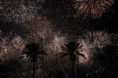 Emine Erdoğan idam töreninde