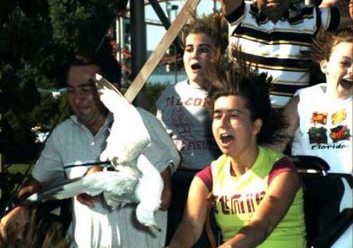 Lunapark Çılgınlığı - Resim 5