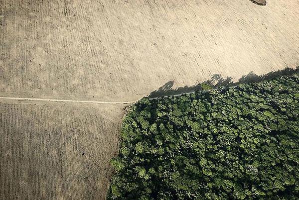 2009 un en iyi fotoğrafları 