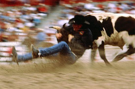 2009 un en iyi fotoğrafları 