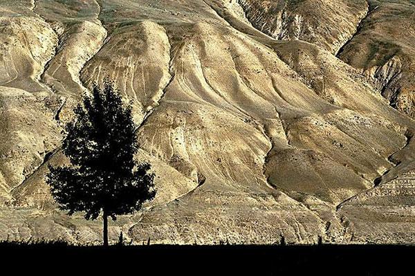 2009 un en iyi fotoğrafları 