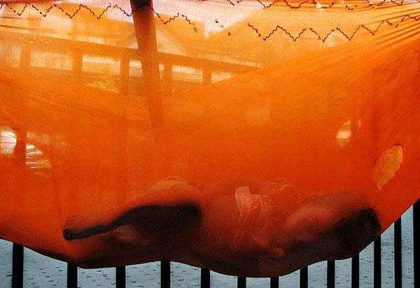 2009 un en iyi fotoğrafları 