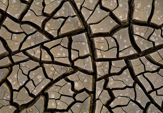 2009 un en iyi fotoğrafları 