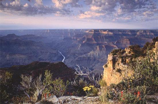 2009 un en iyi fotoğrafları 