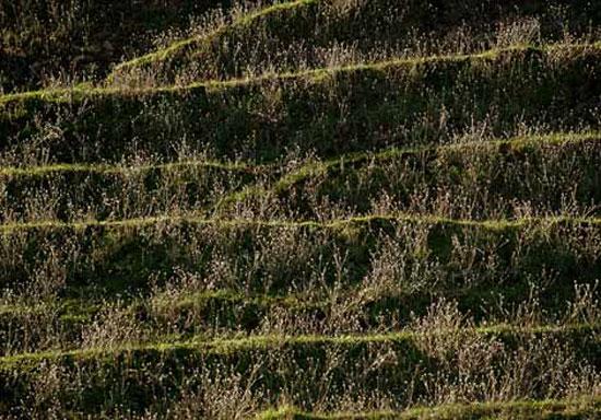 2009 un en iyi fotoğrafları 