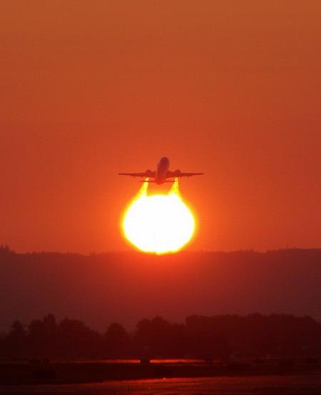 Yalancı Fotoğraflar - Resim 3