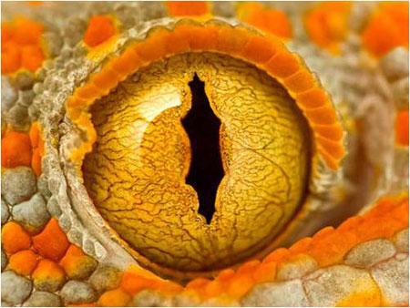 Muhteşem DOĞA Fotoğrafları - Resim 26