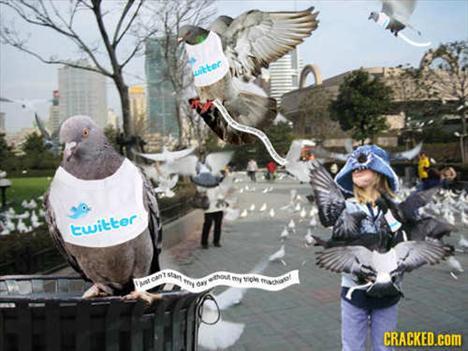 İnternet olmasa neler olurdu - Resim 5