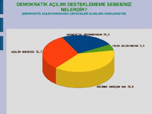 Akademisyenlerin demokratik açılıma bakışı - Resim 17