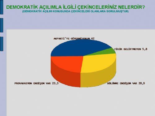 Akademisyenlerin demokratik açılıma bakışı - Resim 3