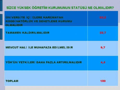 Akademisyenlerin demokratik açılıma bakışı - Resim 18
