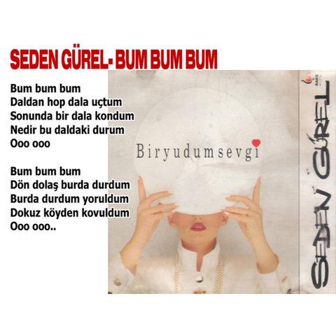 Bu şarkıları unutmak mümkün mü - Resim 40