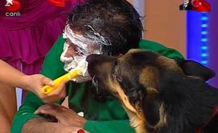 Köpekler yarışmacıların ayaklarını ve yüzlerini yaladı  - Resim 10