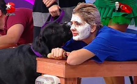 Köpekler yarışmacıların ayaklarını ve yüzlerini yaladı  - Resim 11