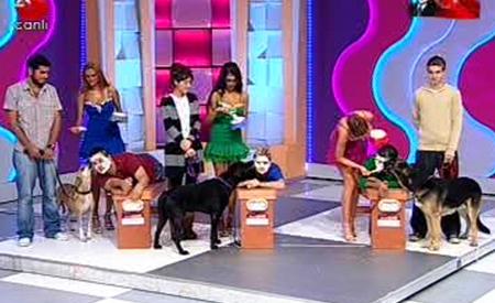 Köpekler yarışmacıların ayaklarını ve yüzlerini yaladı  - Resim 5