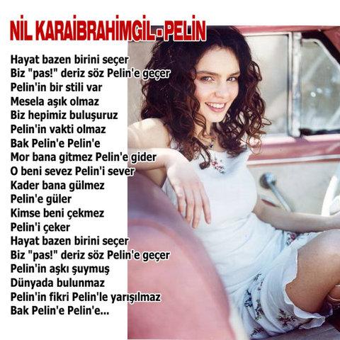 Bu şarkıları unutmak mümkün mü - Resim 31