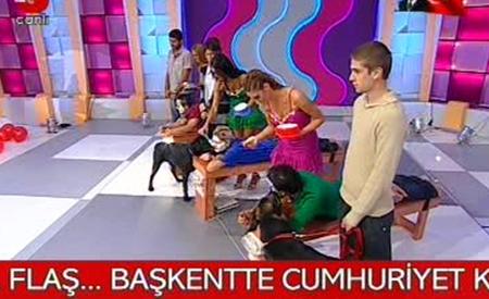 Köpekler yarışmacıların ayaklarını ve yüzlerini yaladı  - Resim 4