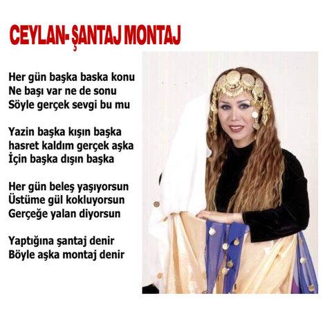 Bu şarkıları unutmak mümkün mü - Resim 5