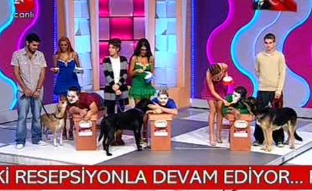 Köpekler yarışmacıların ayaklarını ve yüzlerini yaladı  - Resim 13