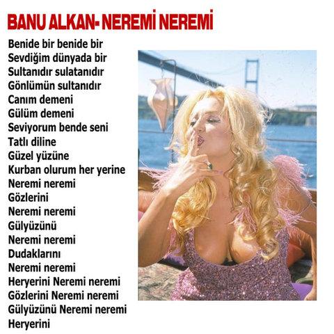 Bu şarkıları unutmak mümkün mü - Resim 13