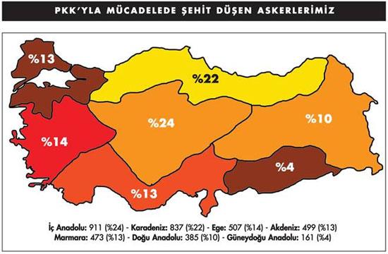 Türk Solu Kürtler'i kızdıracak