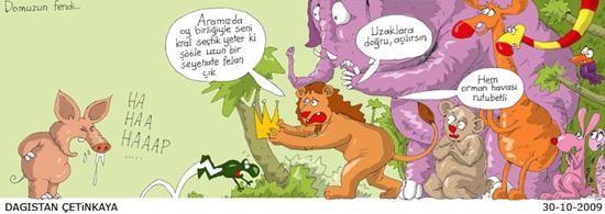 Domuz gribi mizaha konu oldu - Resim 6