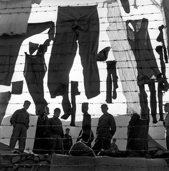 Yüzyılın haber fotoğrafları - Resim 12