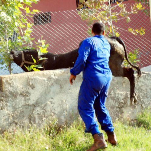 Yurttan kurban manzaraları - Resim 16